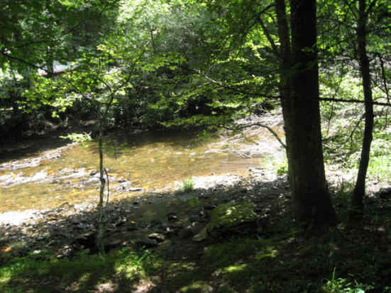 The Park Creek trail follows the Nantahala headwaters for a nice distance.