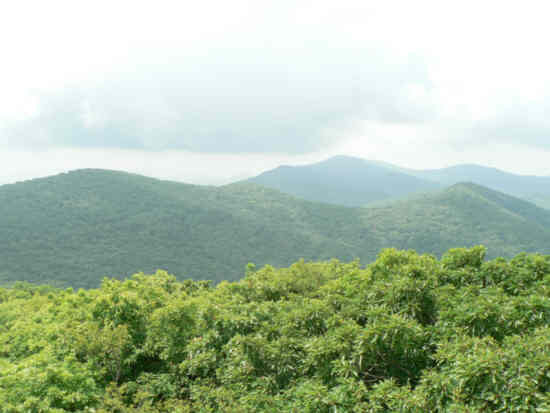Awesome views in every direction at Albert Mountain.