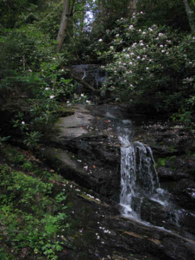 Becky Branch Falls