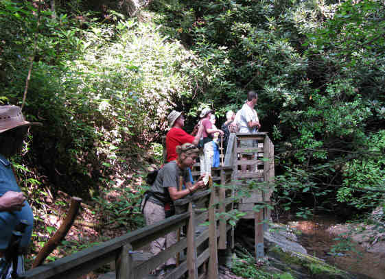 The veiwing platform at Martin Creek Falls.