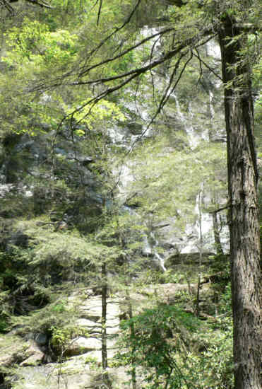 Next, we took the short hike to Dukes Creek Falls.