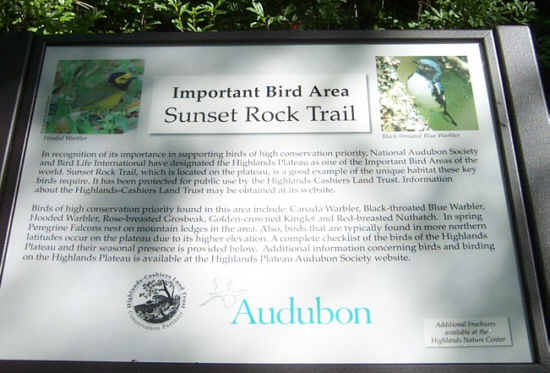 Next, we did the Sunset Rock Trail. It is known to be a good birding trail.