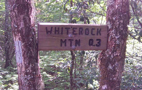 Our lunchtime destination. .
