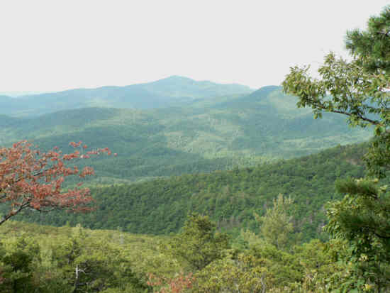 The view from #3! .