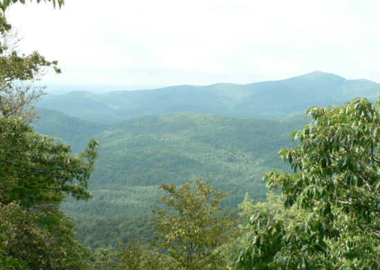 Another view