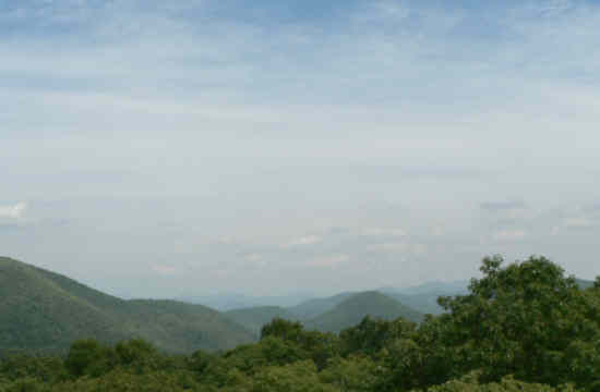A view from the observation tower at The Mountain!