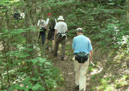 The trail was very lush with lots of wildflowers! We identified 39 species in bloom!