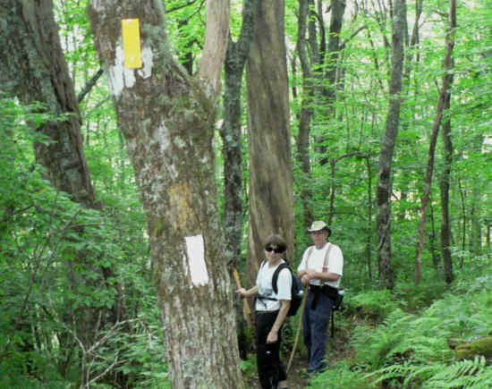 About halfway out, the Appalachian is shared with the Bartram Trail. Yellow marker (Bartram) White marker (Appalachian) .