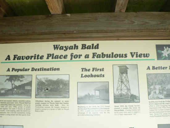One of the information boards at Wayah Bald.