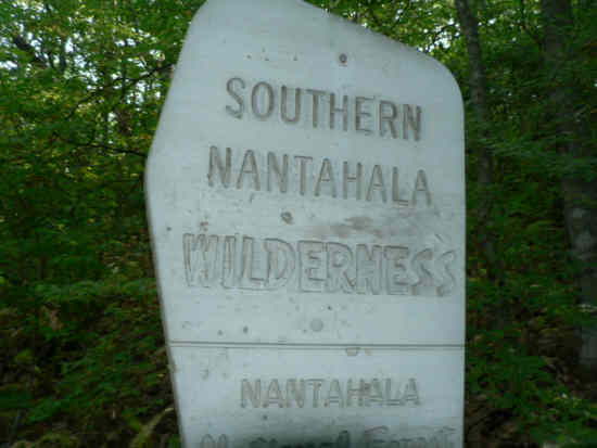 Today's hike was in the Nantahala Wilderness Area.
