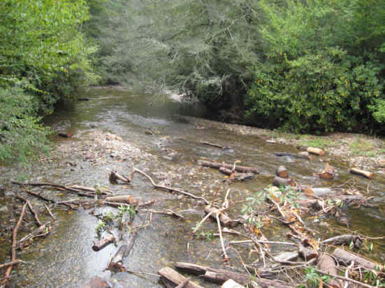 The Nantahala river with logs washed in by recent high water.