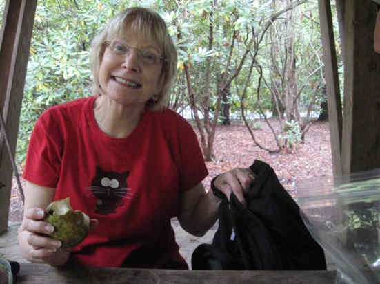 Lunchtime at the picnic shelter!