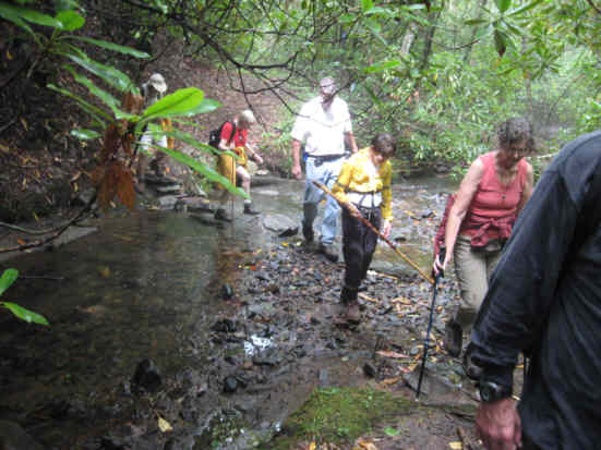 Creek crossing! Another great day for a hike!