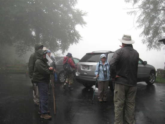 Damp and foggy!