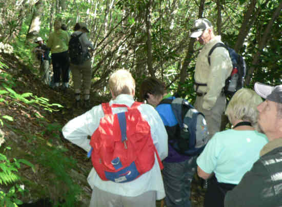 Starting out headed south on the Appalachian Trail!