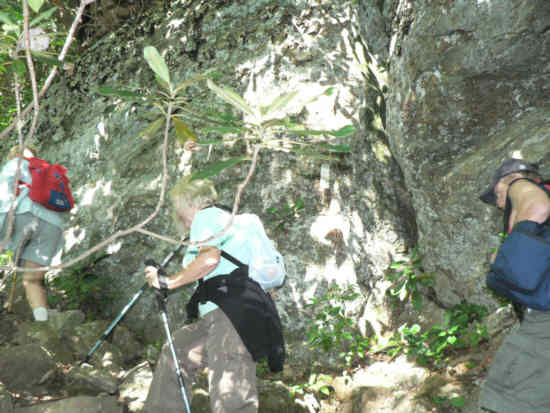 Portions of the trail were very rocky and required careful foot placement!