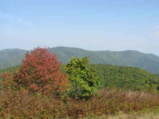 Looking over towards Wayah Bald.
