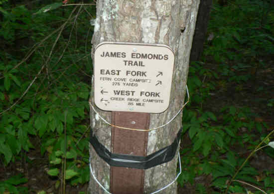 We took the East fork going out and the West fork coming back.