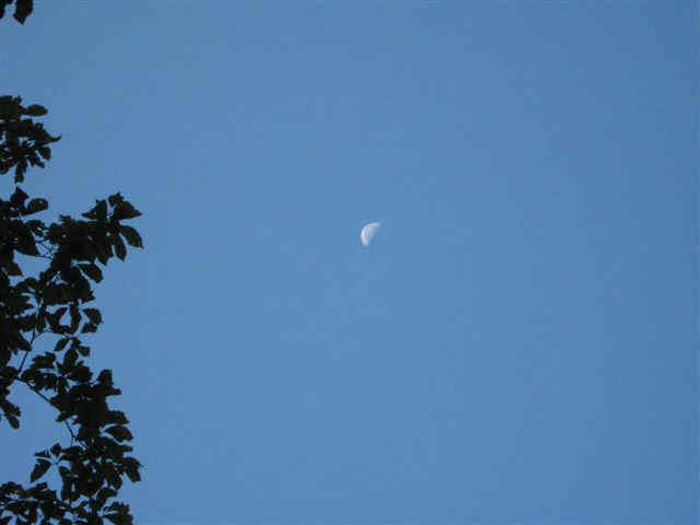 Nice early morning view of the moon from the parking lot.