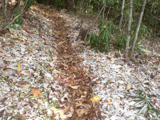 We were surprised to find a light dusting of snow and snow flurries most of the morning.