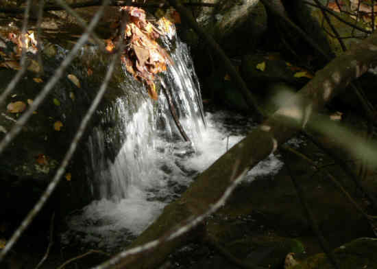 An icy little waterfall!