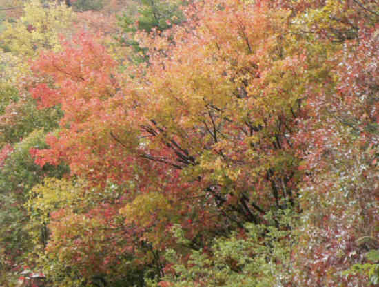 A colorful day in the mountains.
