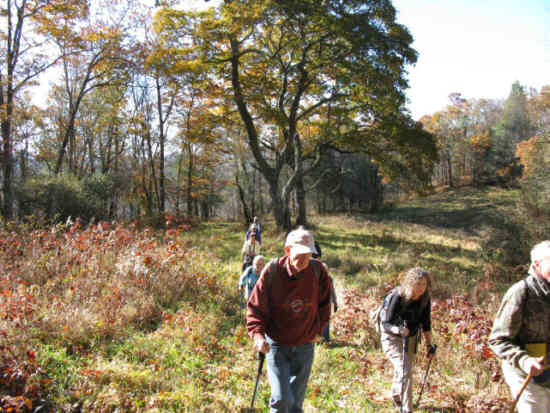 One of two grassy fields that the trail cuts through. .