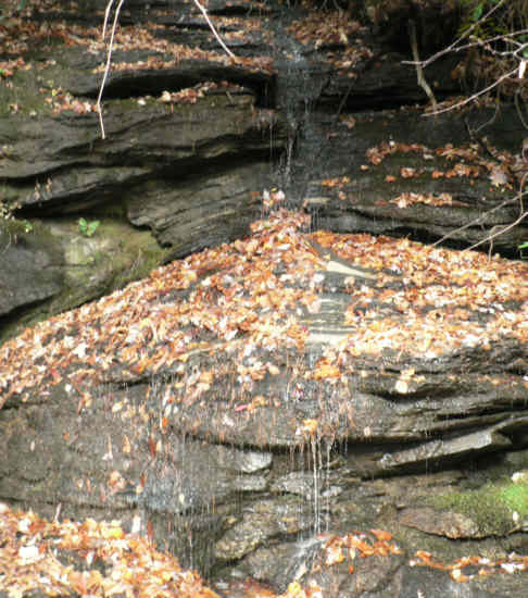 About a quarter mile into the hike we pass this pretty little waterfall!