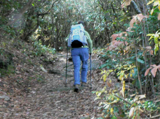 Climbing the rocky trail to the summit. .