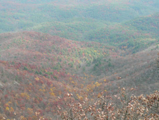 Looking down into the valley, we still find some fall color although many of the trees are now bare.