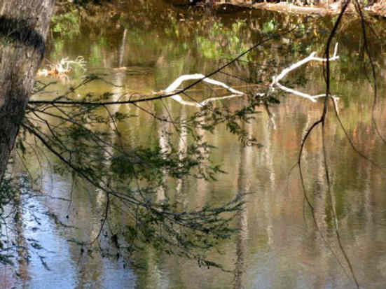 Walking along the Chattooga River.