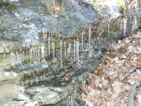 Icicles along the trail!