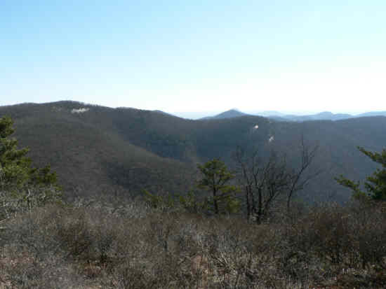 We reach Wolf Laurel Top and find more nice views.
