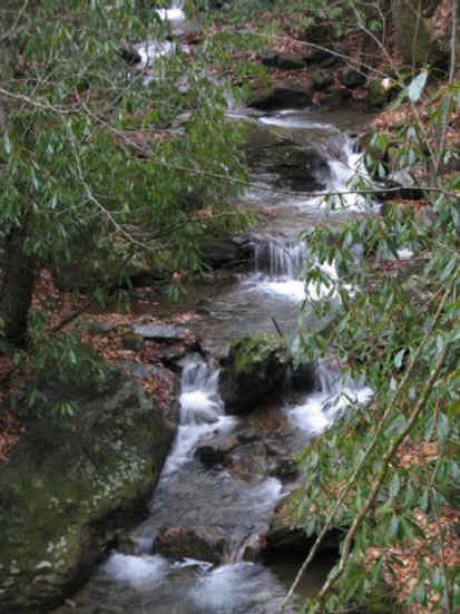 Nice views along the creek for much of the hike.