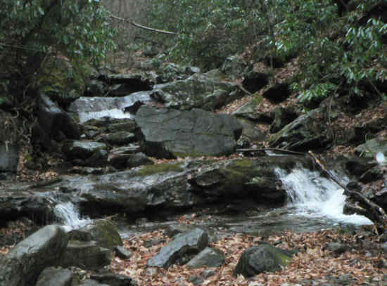 The boulder-filled Beech Creek.