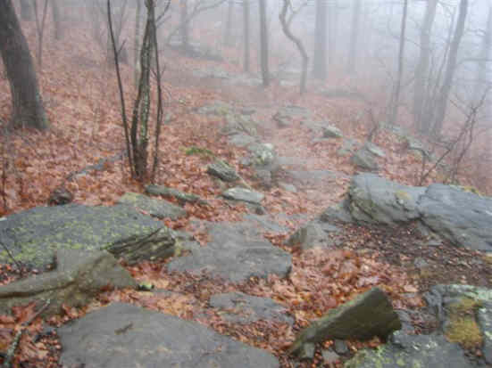 The wet and rocky Appalacian Trail.