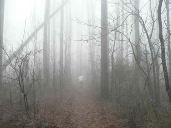 Even in the fog, the trail shows its beauty! .