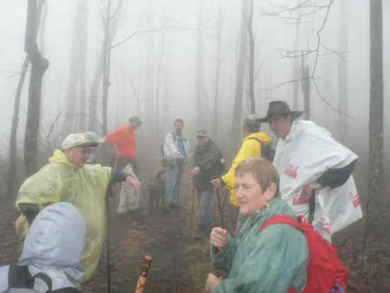 On the Appalachian Trail near Bird Gap.