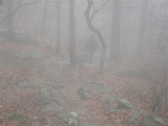 Another Great Day for a Hike!