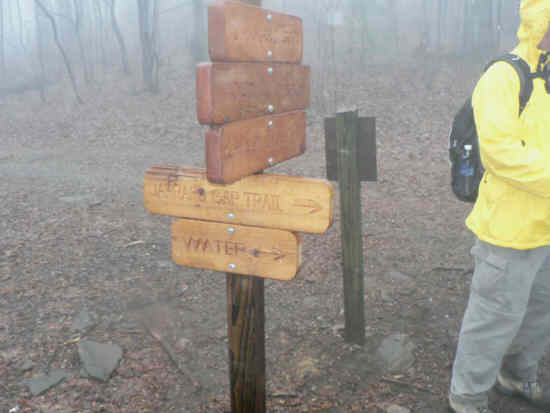 The Jarrard Gap Trail intersection.