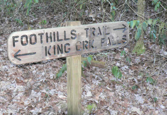 The start of the side trail to King Creek Falls.