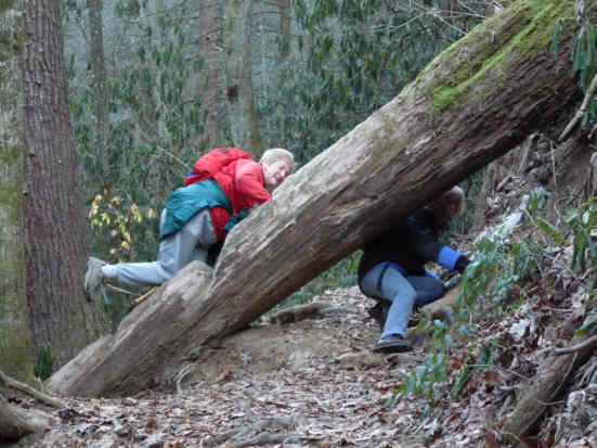 You can manuver over or under this obstacle.