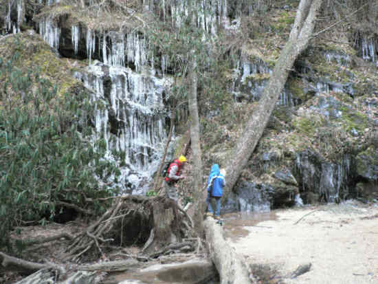 Icicles everywhere!