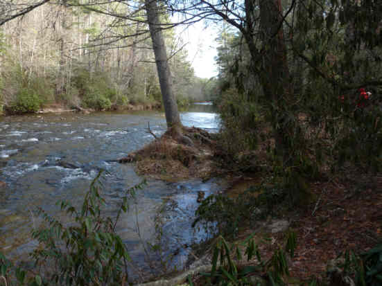 Typical view along the Chattooga River Trail.