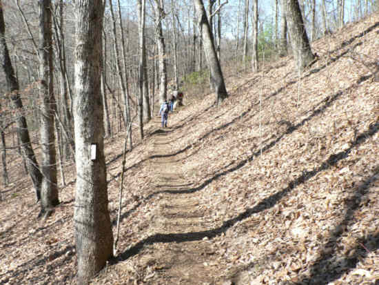 The beautiful Appalachian Trail!