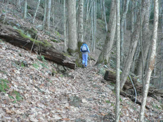 Lots of beautiful rocky slopes and coves all along the trail.
