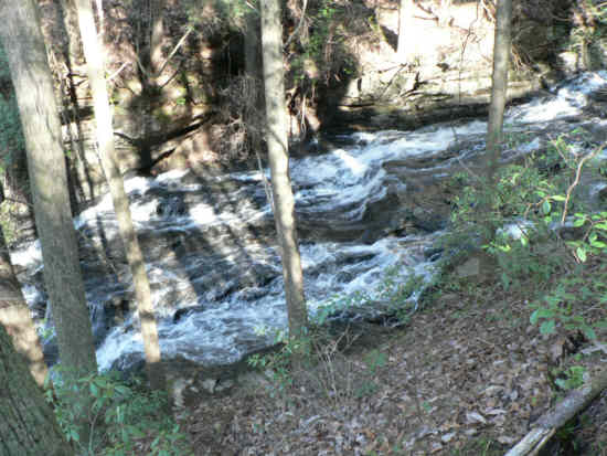 Beautiful rapids on Dicks Creek!