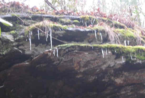 Icicles tell us that it is below freezing!