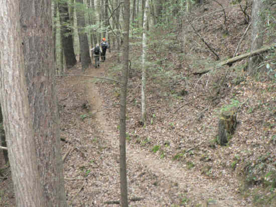 A beautiful well-maintained trail!