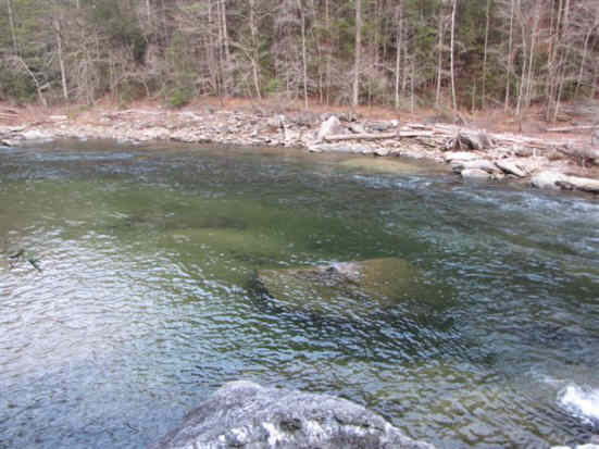 The crystal clear water of the Chattooga!
